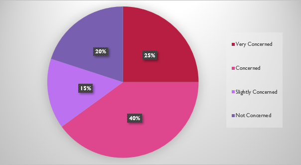 Pie chart showing concern about water scarcity in South Africa
