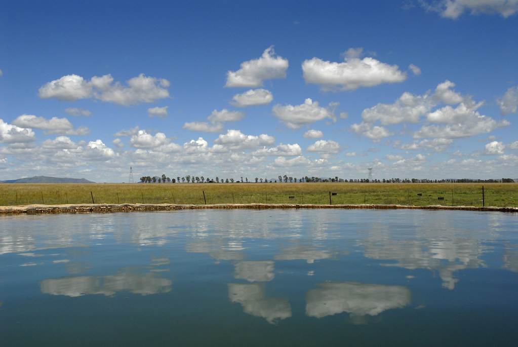 Photograph placeholder: low water level in a South African dam