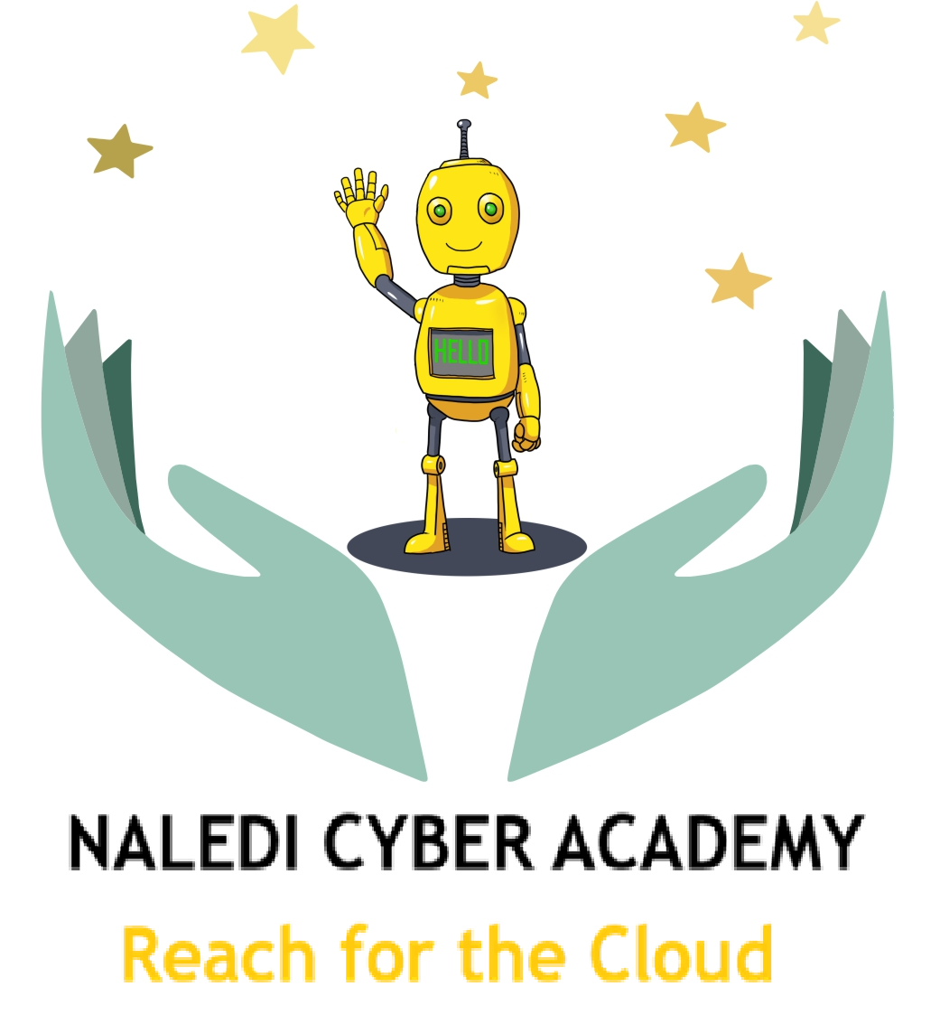 Naledi Cyber Academy Logo